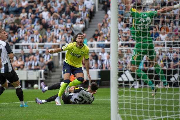 他不仅提高 他不仅提高